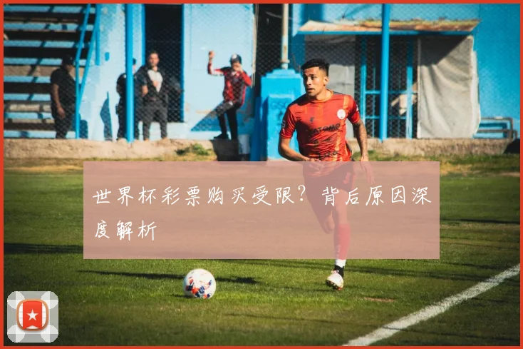 世界杯彩票购买受限?背后原因深度解析