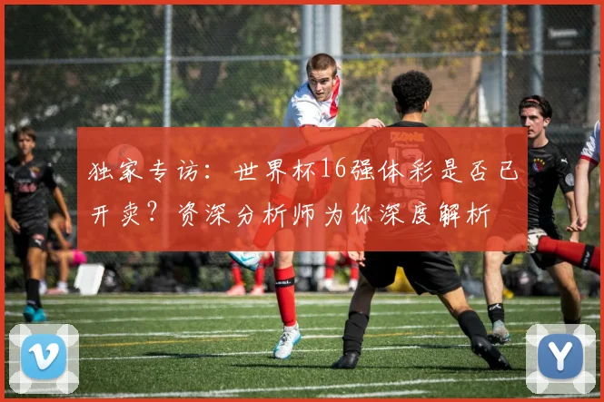 独家专访：世界杯16强体彩是否已开卖？资深分析师为你深度解析