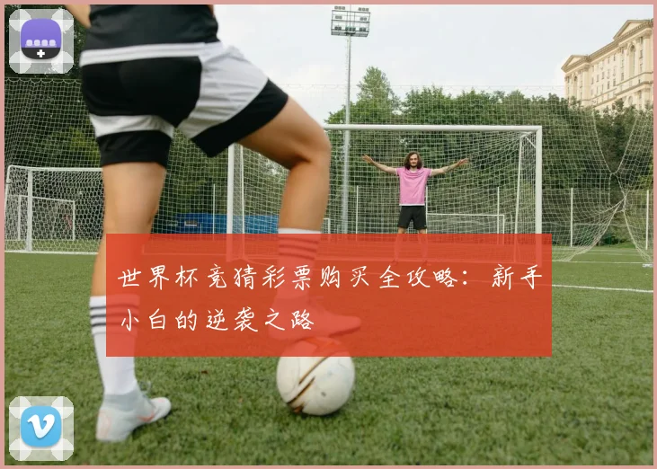 世界杯竞猜彩票购买全攻略：新手小白的逆袭之路