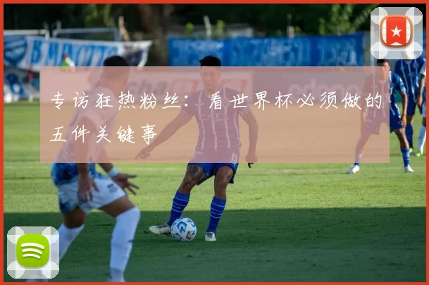 专访狂热粉丝：看世界杯必须做的五件关键事