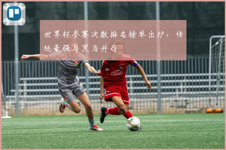 世界杯参赛次数排名榜单出炉，传统豪强与黑马并存