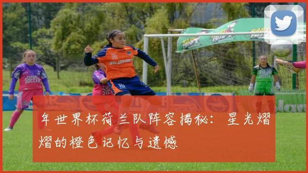 年世界杯荷兰队阵容揭秘：星光熠熠的橙色记忆与遗憾