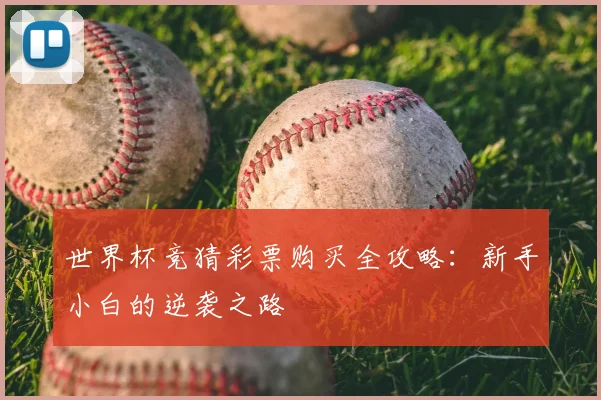 世界杯竞猜彩票购买全攻略:新手小白的逆袭之路