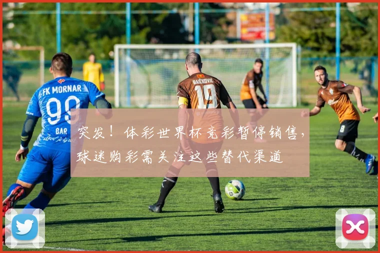 突发！体彩世界杯竞彩暂停销售，球迷购彩需关注这些替代渠道