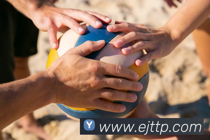 开云网页版app官网APP 封面图